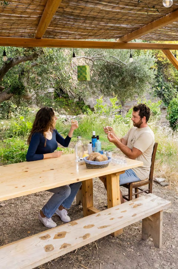 Olive oil tasting under the pergola